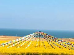 -青海湖国家重点风景名胜区