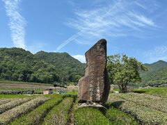 -龙坞茶村