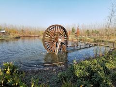 -合肥滨湖国家森林公园