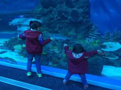 -成都浩海立方海洋公园