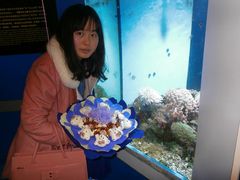-蓬莱欧乐堡海洋极地世界