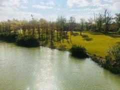 -上海长兴岛郊野公园