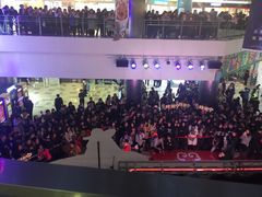 -鹏欣水游城