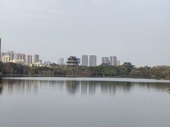-海珠湖公园