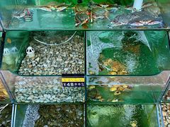 -四海鲜渔家菜(黄金海岸店)