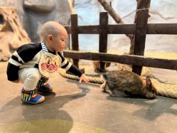 -Zoolung Zoolung动物主题公园(海信广场店)