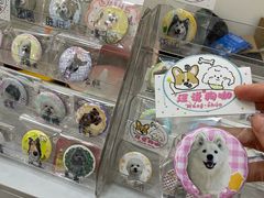 -汪说·狗咖·拼豆·宠物周边DIY(旺城大厦店)