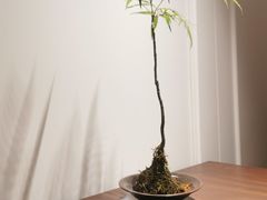 -无味舒食(思南公馆店)