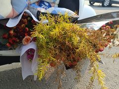 -郑州植物园