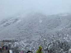 -黄龙山原始森林景区