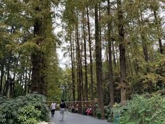 场地-上海植物园·停车场