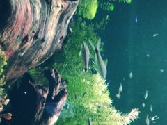 -乌鲁木齐海洋馆