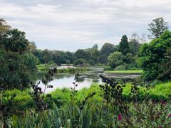 -墨尔本皇家植物园