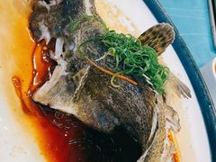 石斑鱼-琼菜王(南海店)