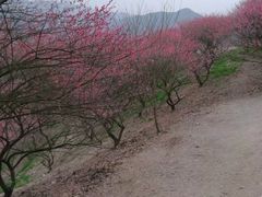 -溪口-滕头旅游景区