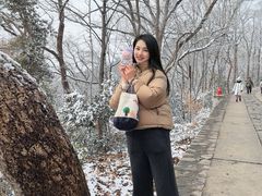 -紫金山山顶公园