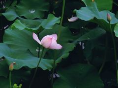 -龙头寺公园