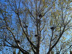 -白水寺森林公园