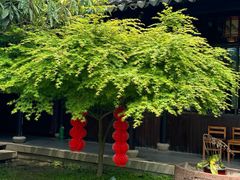 -悦禧耕岛酒店·指月坞餐厅·旺山特色农家乐