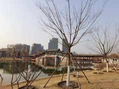 -西海子公园