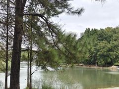 -白塘生态植物园