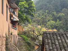 -杨家堂村