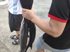 -鸿渡渔庄·特色鸭咀鱼