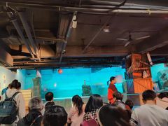 -常州海昌海洋探索馆