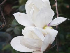 -锦江之星(广州海珠江泰路地铁站店)