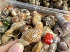 -山东八大碗山东老字号