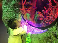 -沈阳海洋探索中心