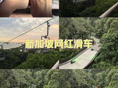 -圣淘沙天际线斜坡滑车