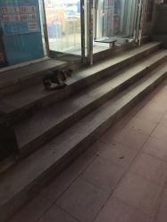 -星豆豆儿童摄影(南郊太白南路店)