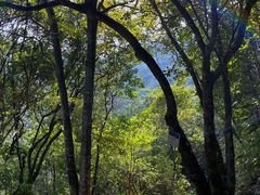 -马峦山郊野公园