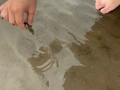 -奉贤海滩