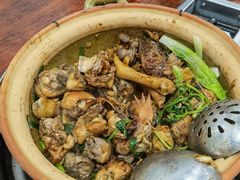-华仔土鸡店(南洲分店)