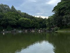 -榴花公园