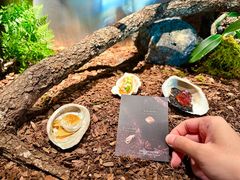 -曲廊院(东四十一条店)