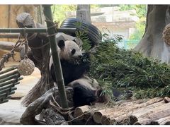 -常州淹城野生动物世界