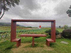 -径山花海