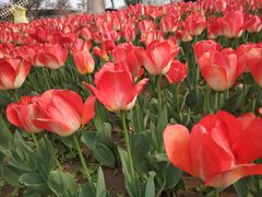 -廊坊文化艺术中心