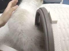 -宠颐生动物医院·小陆分院