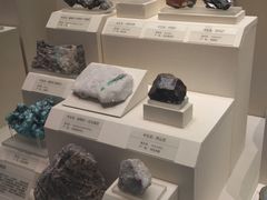 -天津自然博物馆