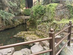 -苏州上方山国家森林公园