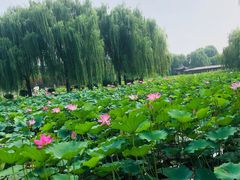 -云居湖