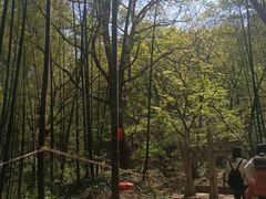 -南山风景名胜区