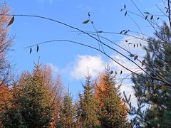 -六鼎山文化旅游区