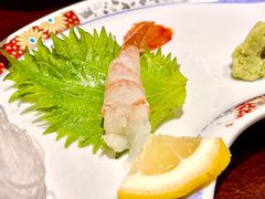 牡丹虾-加奈日本料理