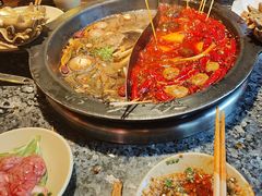 -蜀大侠火锅(总府路店)