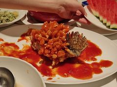 -洋洋中餐馆·SINCE 1997(信投店)